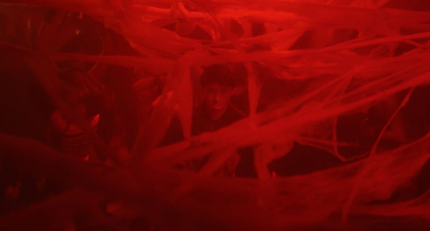 The Spider still